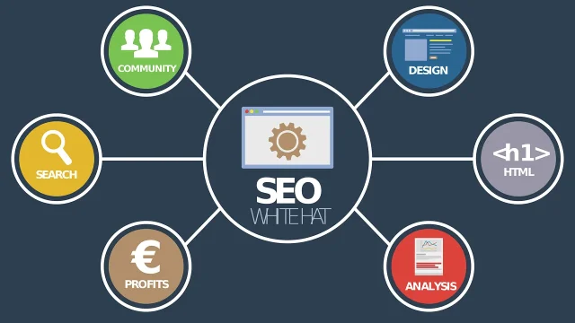 devis seo