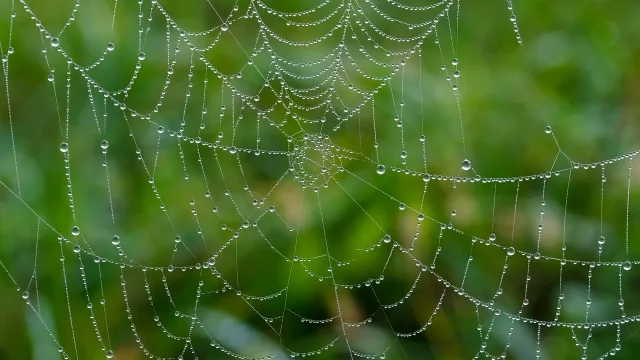 découvrez les principales causes de la baisse du trafic web et apprenez des stratégies efficaces pour analyser et surmonter ce déclin afin d'améliorer la visibilité et la performance de votre site.