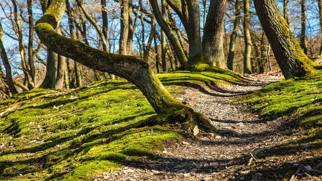 découvrez le path-aware bidding, une stratégie d'enchères avancée qui optimise les campagnes publicitaires en prenant en compte le parcours complet des utilisateurs pour maximiser le retour sur investissement.