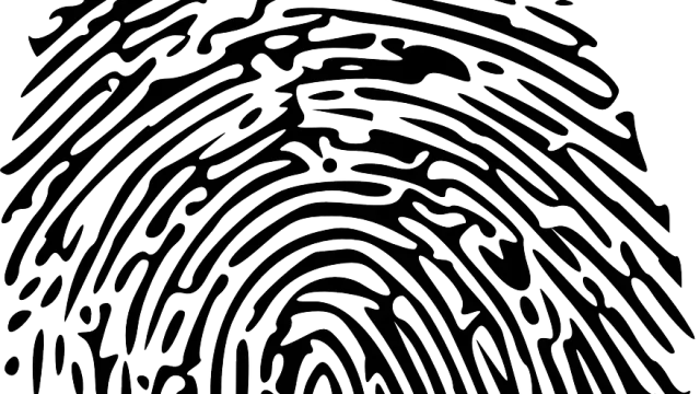découvrez le fingerprinting, une technique innovante de collecte et d'analyse des données utilisateur qui permet d'identifier de manière unique les appareils connectés, tout en préservant la confidentialité. apprenez comment cette méthode est utilisée dans le secteur de la publicité, de la sécurité numérique et de l'analyse de données.