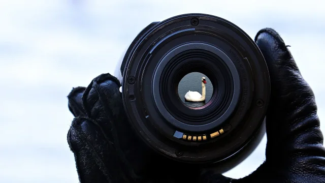 découvrez google lens, l'application innovante qui vous permet d'explorer le monde avec votre appareil photo. identifiez des objets, des plantes, des lieux et plus encore en un instant grâce à la puissance de l'intelligence artificielle. transformez votre curiosité en connaissance instantanée.