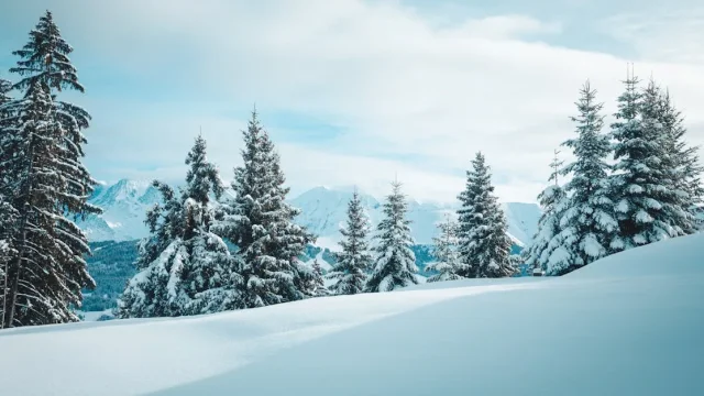 découvrez le monde captivant de tiktok, la plateforme de partage de vidéos qui vous permet de créer, partager et explorer des contenus créatifs. rejoignez des millions d'utilisateurs pour vous amuser, apprendre des tendances, et exprimer votre créativité à travers des défis et des clips musicaux. plongez dans l'univers dynamique de tiktok dès aujourd'hui!