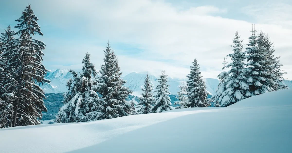 découvrez le monde captivant de tiktok, la plateforme de partage de vidéos qui vous permet de créer, partager et explorer des contenus créatifs. rejoignez des millions d'utilisateurs pour vous amuser, apprendre des tendances, et exprimer votre créativité à travers des défis et des clips musicaux. plongez dans l'univers dynamique de tiktok dès aujourd'hui!