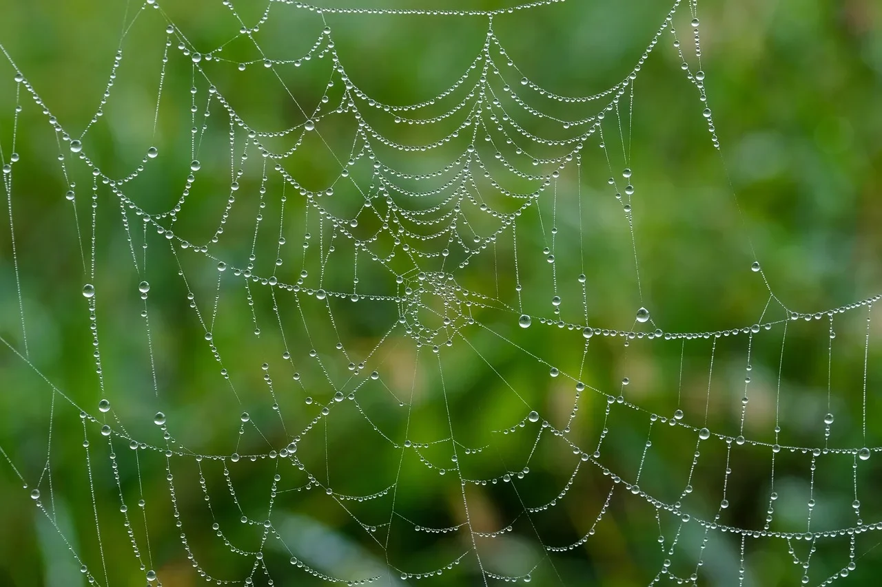 découvrez les principales causes de la baisse du trafic web et apprenez des stratégies efficaces pour analyser et surmonter ce déclin afin d'améliorer la visibilité et la performance de votre site.