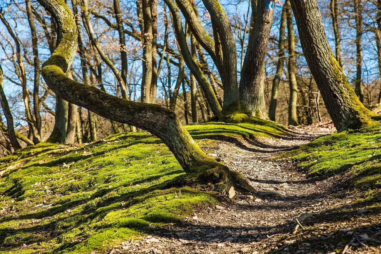 découvrez le path-aware bidding, une stratégie d'enchères avancée qui optimise les campagnes publicitaires en prenant en compte le parcours complet des utilisateurs pour maximiser le retour sur investissement.