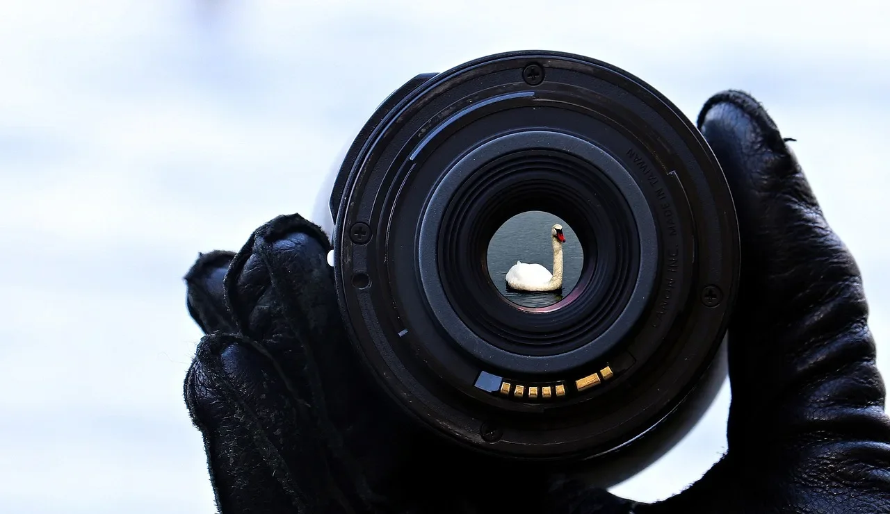 découvrez google lens, l'application innovante qui vous permet d'explorer le monde avec votre appareil photo. identifiez des objets, des plantes, des lieux et plus encore en un instant grâce à la puissance de l'intelligence artificielle. transformez votre curiosité en connaissance instantanée.