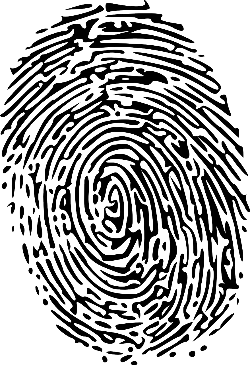 découvrez le fingerprinting, une technique innovante de collecte et d'analyse des données utilisateur qui permet d'identifier de manière unique les appareils connectés, tout en préservant la confidentialité. apprenez comment cette méthode est utilisée dans le secteur de la publicité, de la sécurité numérique et de l'analyse de données.
