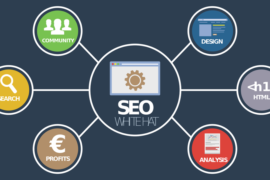 devis seo