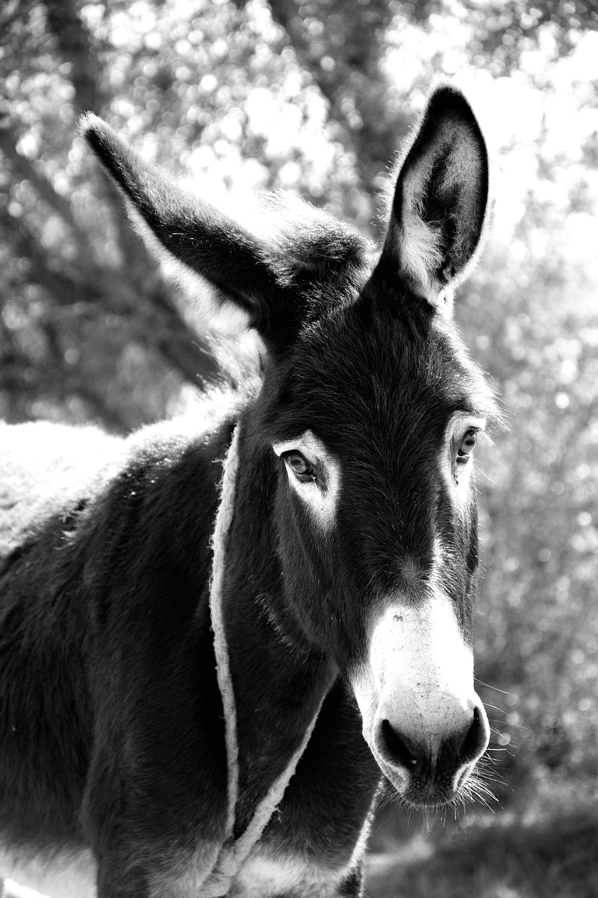 découvrez notre politique de gestion des abus de réputation, conçue pour maintenir un environnement respectueux et sécurisé. apprenez comment nous traitons les plaintes et protégeons l'intégrité de notre communauté.